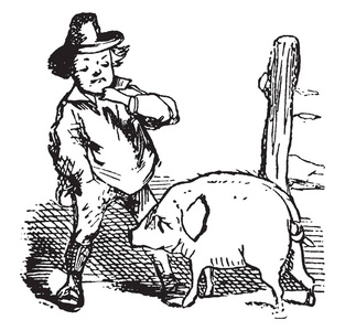 s Pig, this scene shows a man with hat on head looking at a pig