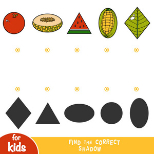 找到正确的影子教育游戏,为儿童设置自然项目,苹果蜜瓜,西瓜,玉米叶.