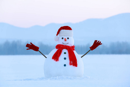 被雪覆盖的地面. 冬天天气很冷.照片