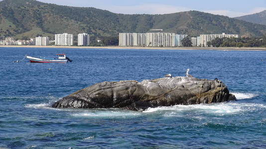 景观岩石海滩和海滨