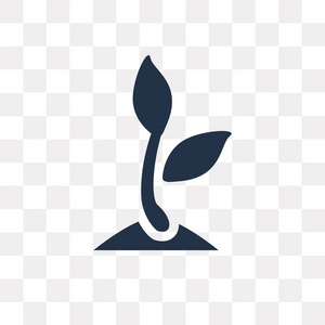 在透明背景上分离出芽矢量图标,芽透明概念可用于网络和移动照片