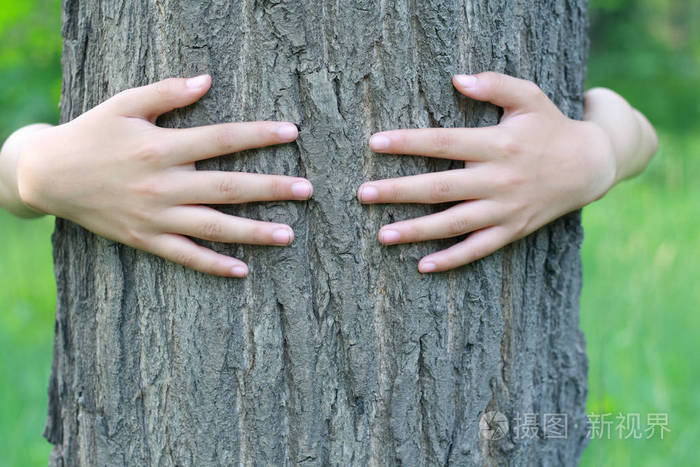 手拥抱大树