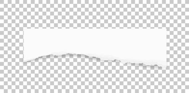撕下的纸张纹理. 撕破的纸边背景. 横幅标签背景的白皮书. 矢量图.
