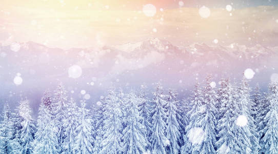 冬季神秘的冬季景观雄伟的山脉。 神奇的冬雪覆盖的树。 照片贺卡。 波克光效应软滤波器。 卡帕提安。 乌克兰。 欧洲