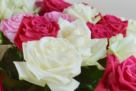 一大束红色粉红色和白色的玫瑰近在咫尺。 祝贺你的假期。 爱和温柔。