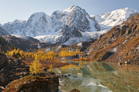 明亮多彩的黄秋山湖俄罗斯西伯利亚阿尔泰山丘崖岭。