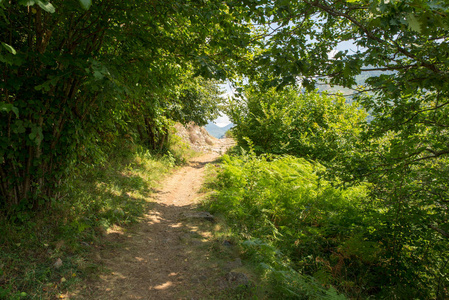 穿过西班牙阿伦山谷的山路