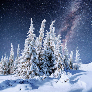 s Eve. Starry sky snowy winter night. The Milky Way is a fantast