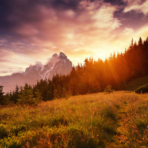 美丽的夏季山景。 日落时山的蓝色。 戏剧性的场面。 喀尔巴阡乌克兰欧洲。 艺术画面。 软过滤效果。