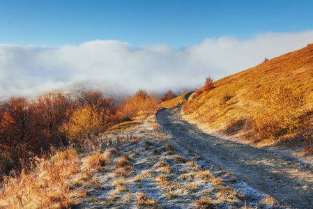 十月山脉在第一个冬季。 在第一个早晨的阳光下通往霜冻的道路。 喀尔巴阡乌克兰欧洲。