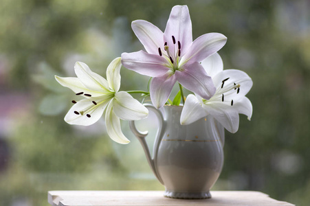 一组淡白色和粉红色的百合花在花瓶里,美丽的开花花在窗户上,白色的