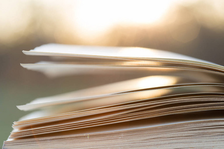 户外阳光下的教育与智慧概念书照片