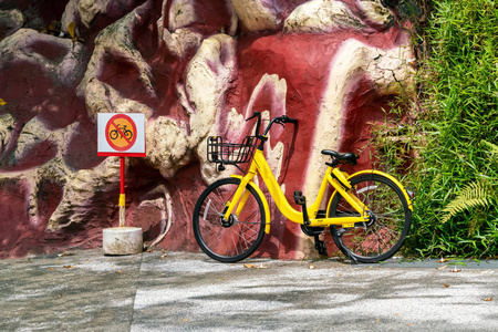 黄色自行车，有篮子，站在标志附近，禁止停放自行车