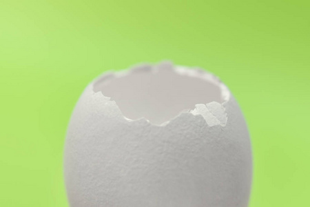 绿色背景上的白色蛋壳