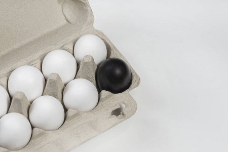 黑蛋在纸板箱里被白鸡蛋包围