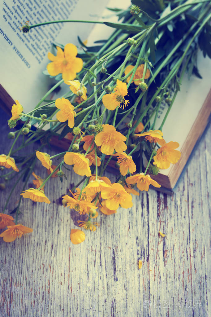 开着的书上开着的黄色田野的花