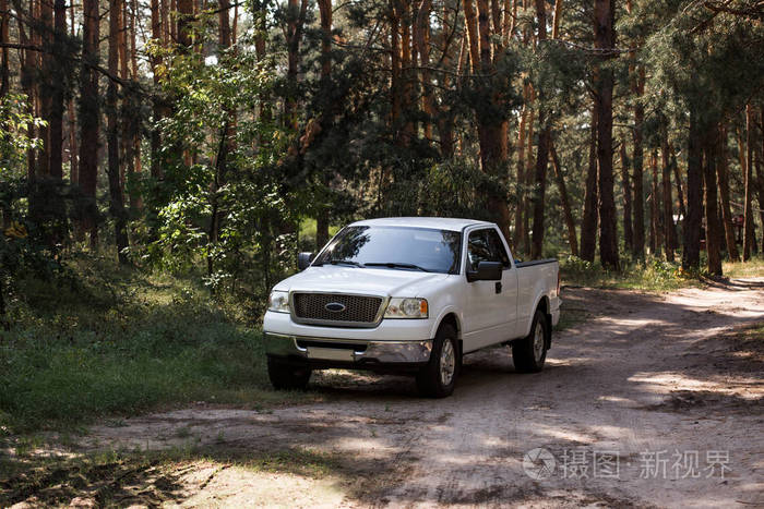 一辆白色的车在秋天的森林里开着松树
