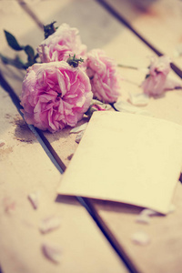 空白卡片上的粉红色牡丹玫瑰