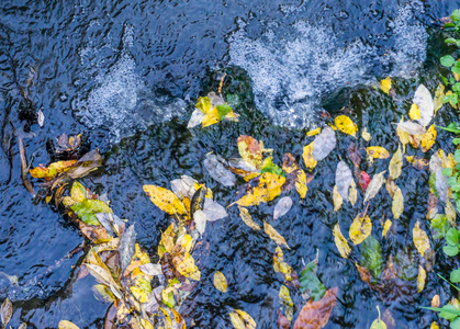 一条小溪流过秋天的叶子。 背景镜头。