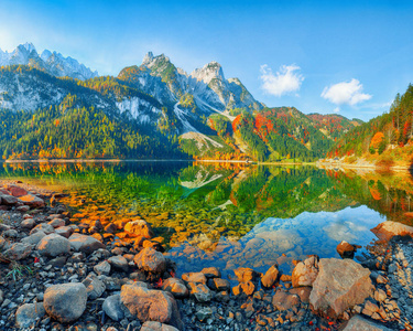 美丽的田园风光，五彩缤纷的秋天风景与达奇斯坦山顶反映在晶莹剔透的高苏泽山湖在秋天。 萨尔斯卡梅尔古特地区，上奥地利