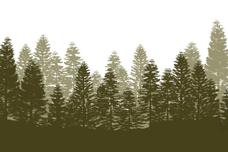 松树森林的轮廓被孤立在白色的背景上