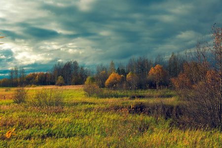 在秋天的森林里，灰色的绿色的雷云聚集在一起
