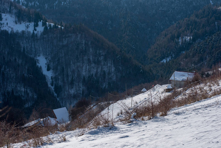 冬季乡村景观，积雪覆盖树木和山丘