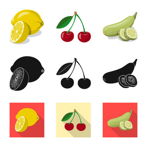 蔬菜水果标识的向量说明。一组蔬菜和素食矢量股票图标