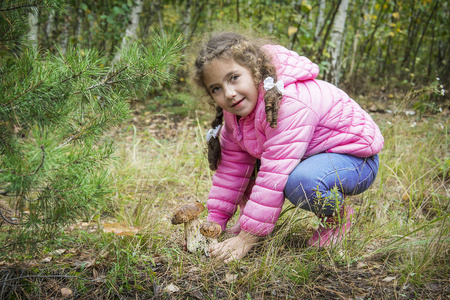在一棵松树下的秋天森林里，一个小女孩发现了两个牛肝菌。