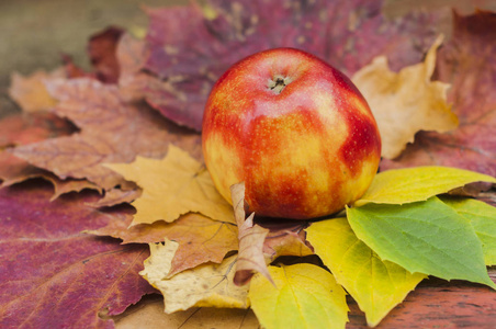 五颜六色的秋叶木桌上的红苹果