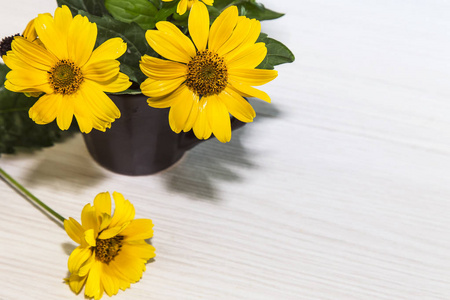 花卉节日背景。 黄色明亮的花园花在陶瓷杯上的浅色背景和复制空间。