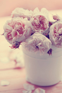 盆栽中的一束柔软的粉红色牡丹玫瑰