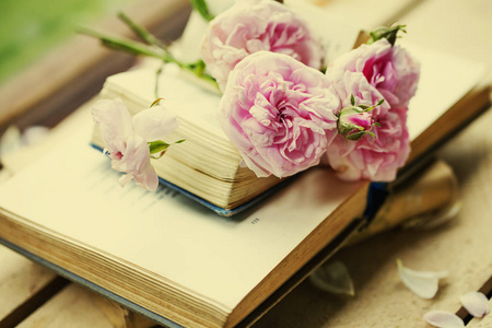 层层叠叠的旧书上的粉红色牡丹花