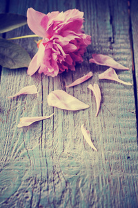 乡村木桌上的粉红色花