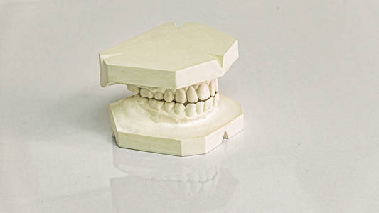 假牙的铸型。 现代牙科诊所