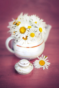 木制表面茶壶里的新鲜雏菊