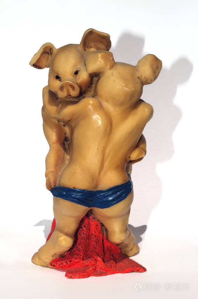 两只猪互相拥抱