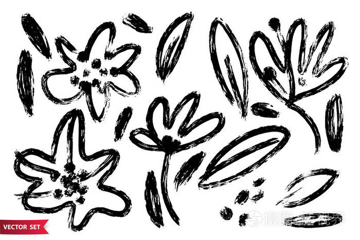 矢量集墨画flowerss种子茎和叶单色艺术植物插图分离的花卉元素手绘