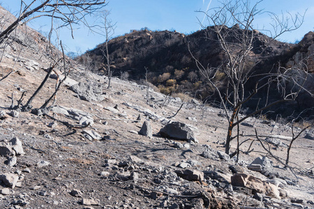 在加州奥贾伊的普拉特小径上被托马斯大火破坏的景观