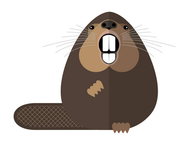 海狸的领土图片