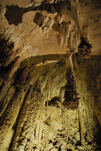 s Tail Stalactites in Carlsbad Caverns