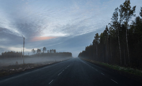 芬兰路上一个雾蒙蒙的秋天早晨，路边有田野