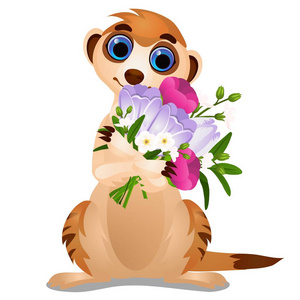 在动物园的猫鼬图片