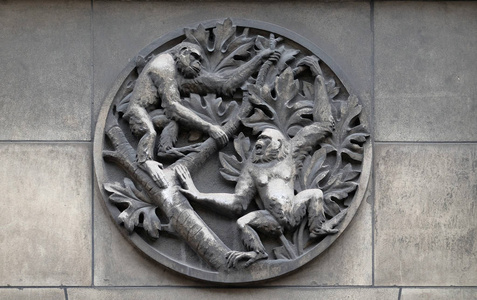 猴子。法国巴黎医学部大楼的石头浮雕。