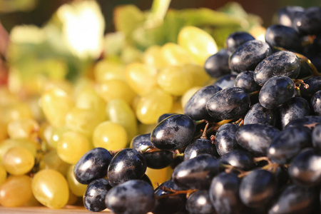 新鲜成熟多汁的葡萄模糊背景特写