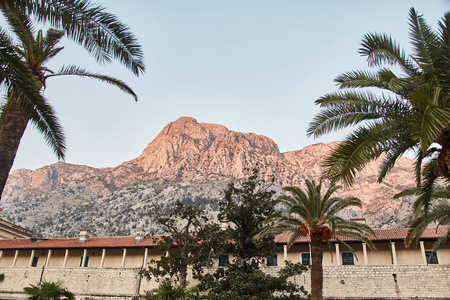 Kotor 镇。老城。旧城墙。山景。黑山