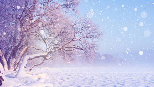 下雪时的冬季景观。圣诞节背景。冰冷的树木。下雪的冬天场景。冬季童话