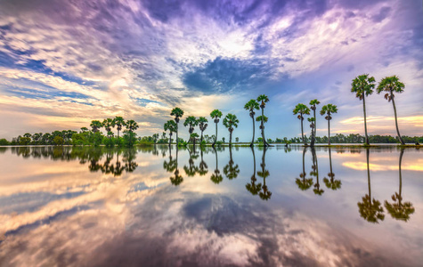五颜六色的日出，高高的棕榈树在戏剧性的天空中升起，美丽的云彩和轮廓反映在湄公河三角洲农村的地表水上