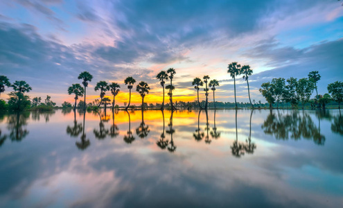 五颜六色的日出，高高的棕榈树在戏剧性的天空中升起，美丽的云彩和轮廓反映在湄公河三角洲农村的地表水上