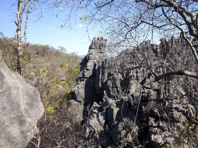 马达加斯加肯加拉纳保留地奇异灰岩岩层